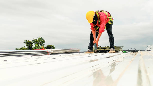 Best Roof Maintenance and Cleaning  in Coplay, PA